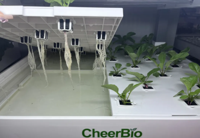 How to pick hydroponic nutrient solution? Just read this guide and it's done!